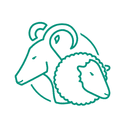 Logo do parceiro bego.png